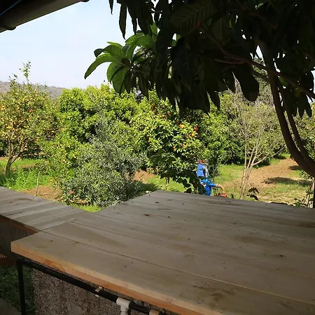 Üdülőpark Zeytin *
