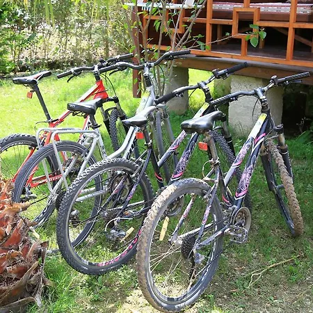 Zeytin Parque de vacaciones Çıralı