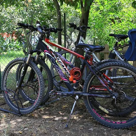 Parque de vacaciones Zeytin *