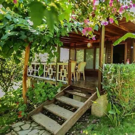 Holiday park Zeytin Cirali