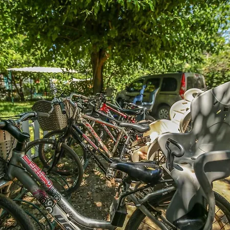 Zeytin Tatil parkı *