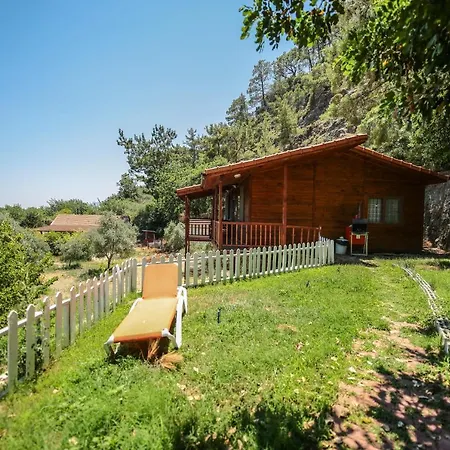 Zeytin Tatil parkı