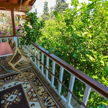 Tatil parkı Zeytin