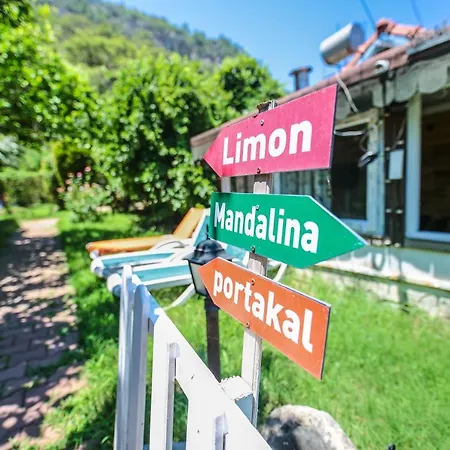 Tatil parkı Zeytin *