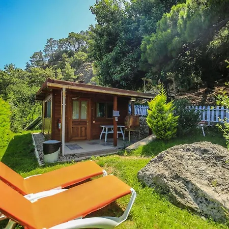 Tatil parkı Zeytin