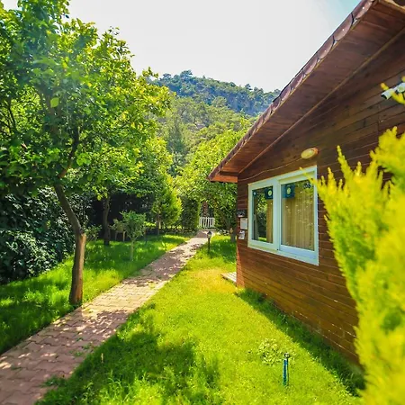 Holiday park Zeytin Cirali