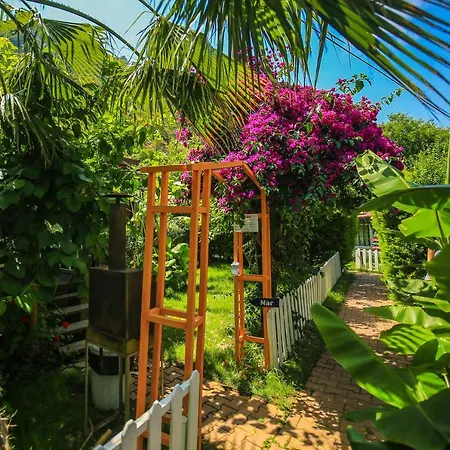 Zeytin Tatil parkı *