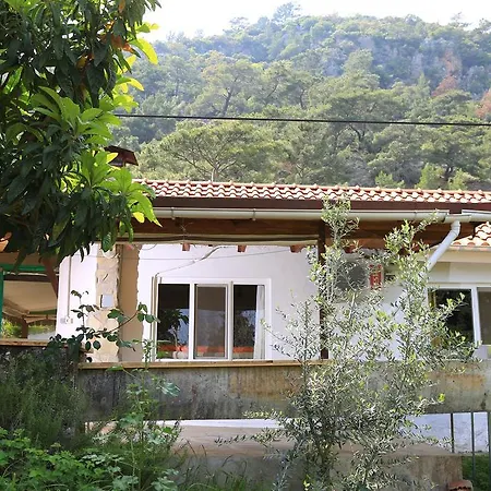 Holiday park Zeytin