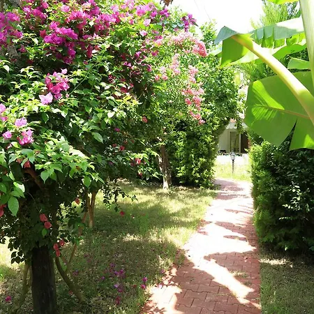 Zeytin Holiday park Cirali